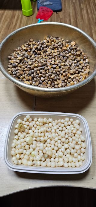 삼례텃밭지기님의 자유주제 · 자유게시판 작성글 사진