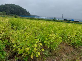 전재문님의 작성글 사진