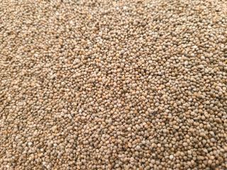 전재문님의 작성글 사진