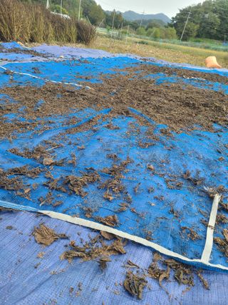 전재문님의 작성글 사진