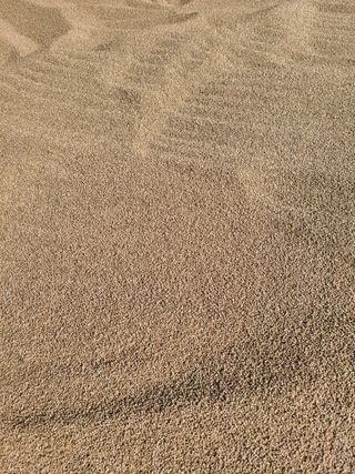 전재문님의 작성글 사진