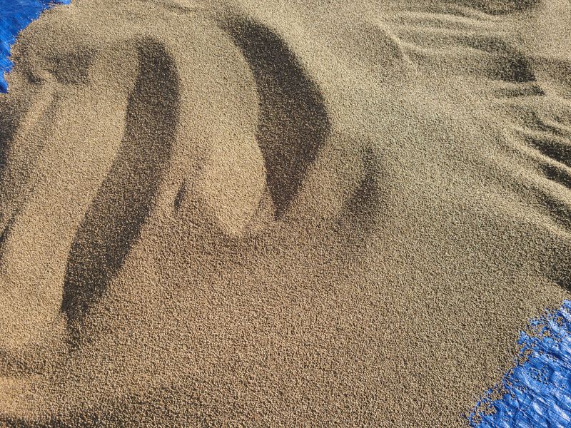 전재문님의 장터 판매 상품 [햇들깨 한말 (6kg) 판매 합니다] 첨부 사진