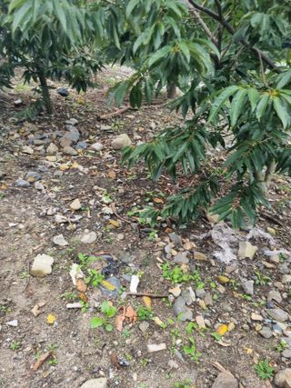 김용대님의 자유주제 · 자유게시판 작성글 사진