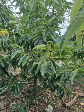 김용대님의 자유주제 · 자유게시판 작성글 사진