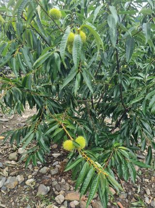 김용대님의 자유주제 · 자유게시판 작성글 사진