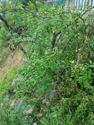 김용대님의 자유주제 · 자유게시판 작성글 사진