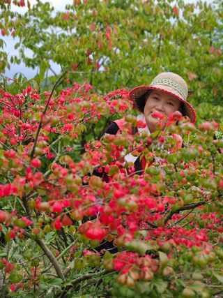 조정숙(1955)님의 자유주제 · 자유게시판 작성글 사진