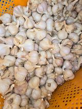 팜모닝 · 게시글 이미지