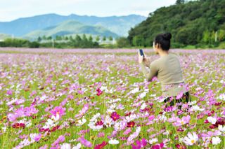 국중선님의 자유주제 · 자유게시판 작성글 사진