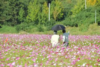 국중선님의 자유주제 · 자유게시판 작성글 사진