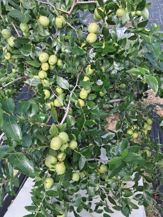 전희분님의 자유주제 · 자유게시판 작성글 사진