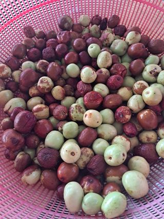 전희분님의 자유주제 · 자유게시판 작성글 사진