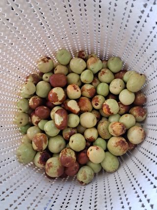 전희분님의 자유주제 · 자유게시판 작성글 사진