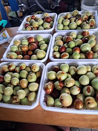 전희분님의 자유주제 · 자유게시판 작성글 사진