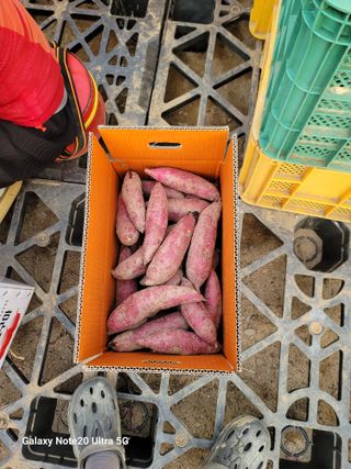 김용민님의 자유주제 · 자유게시판 작성글 사진