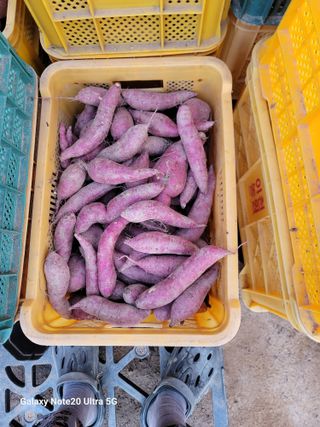 김용민님의 자유주제 · 자유게시판 작성글 사진