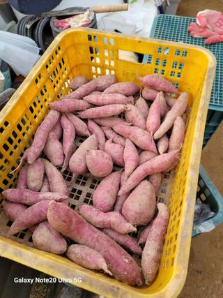 김용민님의 자유주제 · 자유게시판 작성글 사진