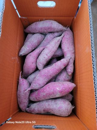 김용민님의 자유주제 · 자유게시판 작성글 사진