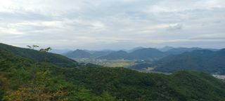 우포로찐님의 10월 내 농작물 자랑하기 · 참여글 작성글 사진