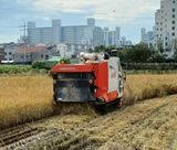 팜모닝 · 게시글 이미지