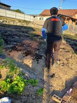 팜모닝 마늘·영농일지 게시글 이미지