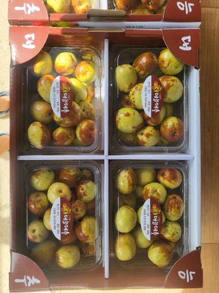 이동엽(양지팜)님의 기타작물 · 영농일지 작성글 사진