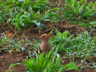 최연재님의 자유주제 · 자유게시판 작성글 사진