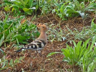최연재님의 자유주제 · 자유게시판 작성글 사진