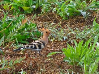 최연재님의 자유주제 · 자유게시판 작성글 사진