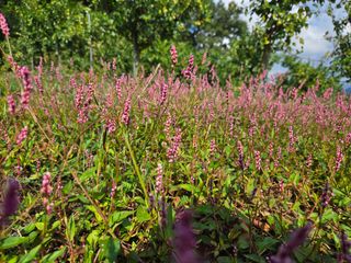 알 수 없음님의 자유주제 · 사진전 작성글 사진