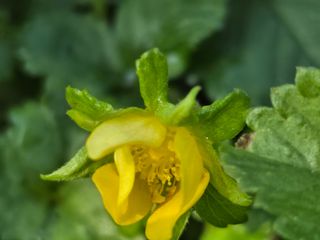 알 수 없음님의 자유주제 · 사진전 작성글 사진