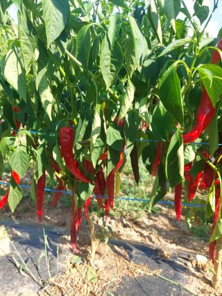 감자10024님의 자유주제 · 자유게시판 작성글 사진