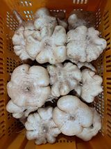 팜모닝 · 게시글 이미지