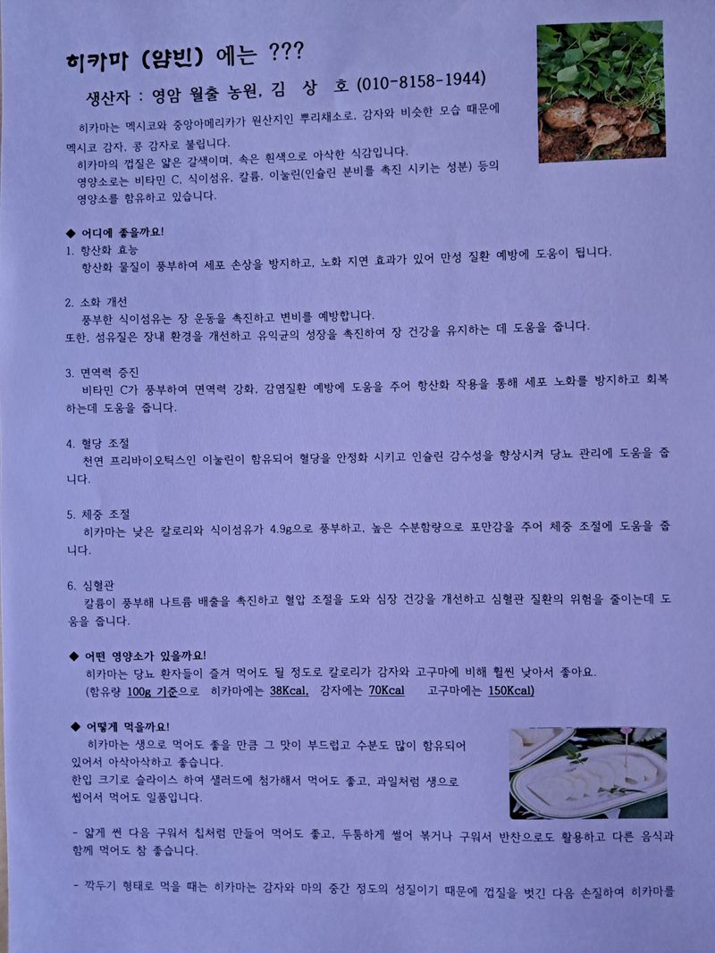 김상호님의 장터 판매 상품 [히카마(멕시코 감자)5kg] 첨부 사진