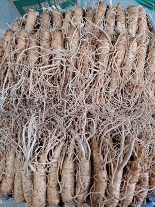 호동방인삼농장님의 10월 내 농작물 자랑하기 · 참여글 작성글 사진