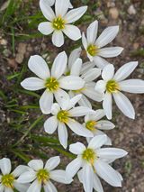 팜모닝 · 게시글 이미지