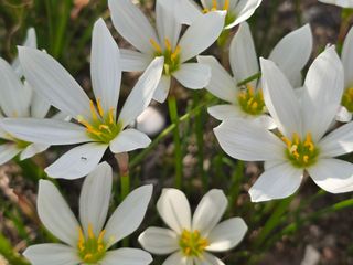 배영이님의 작성글 사진