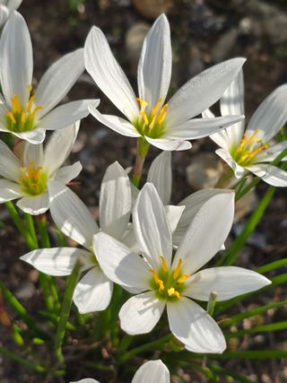 배영이님의 작성글 사진