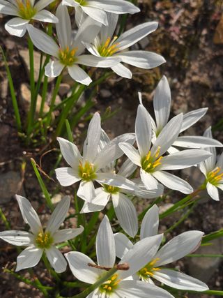 배영이님의 작성글 사진