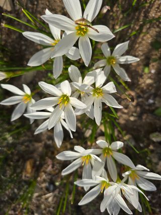 배영이님의 작성글 사진