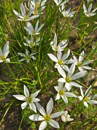 배영이님의 작성글 사진