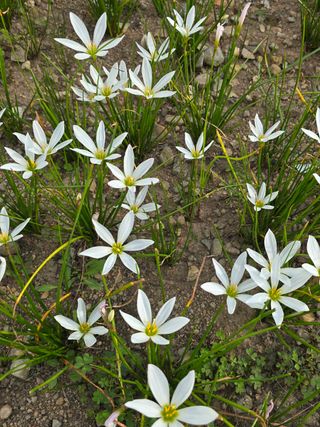 배영이님의 작성글 사진