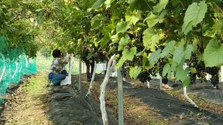 다불산님의 자유주제 · 자유게시판 작성글 사진