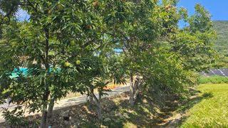 다불산님의 자유주제 · 자유게시판 작성글 사진