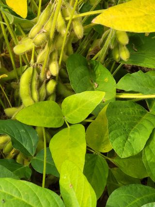 정금천님의 자유주제 · 자유게시판 작성글 사진