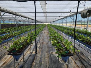 달구딸기님의 자유주제 · 자유게시판 작성글 사진