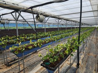 달구딸기님의 자유주제 · 자유게시판 작성글 사진