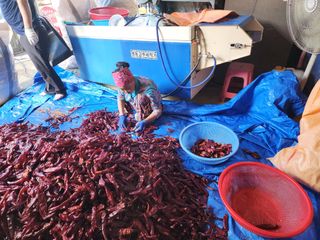 박규선님의 자유주제 · 자유게시판 작성글 사진