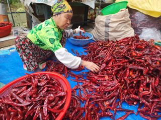 박규선님의 자유주제 · 자유게시판 작성글 사진