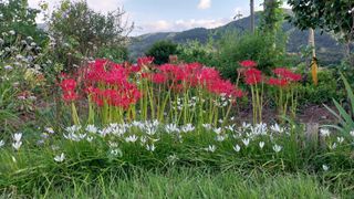 김윤기님의 자유주제 · 자유게시판 작성글 사진